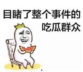吃瓜群众在七零 穿书,吃瓜群众穿书记